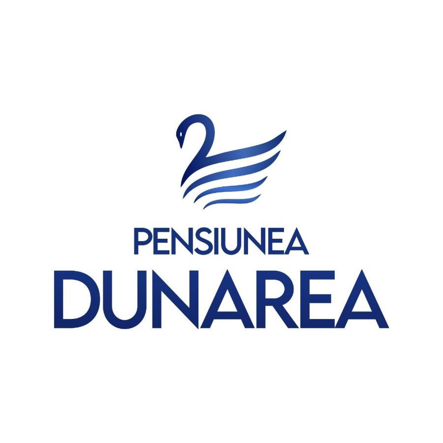 Pensiunea Dunarea Moldova Noua Exterior foto